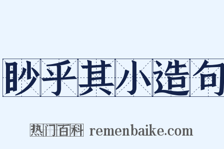 眇乎其小造句是什么意思的图片